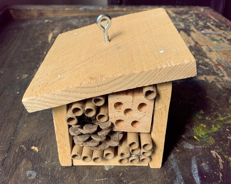 Maker Box: Pollinators